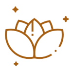 icont08.png icont08.png